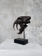 Small Bronze Sabertooth Tiger