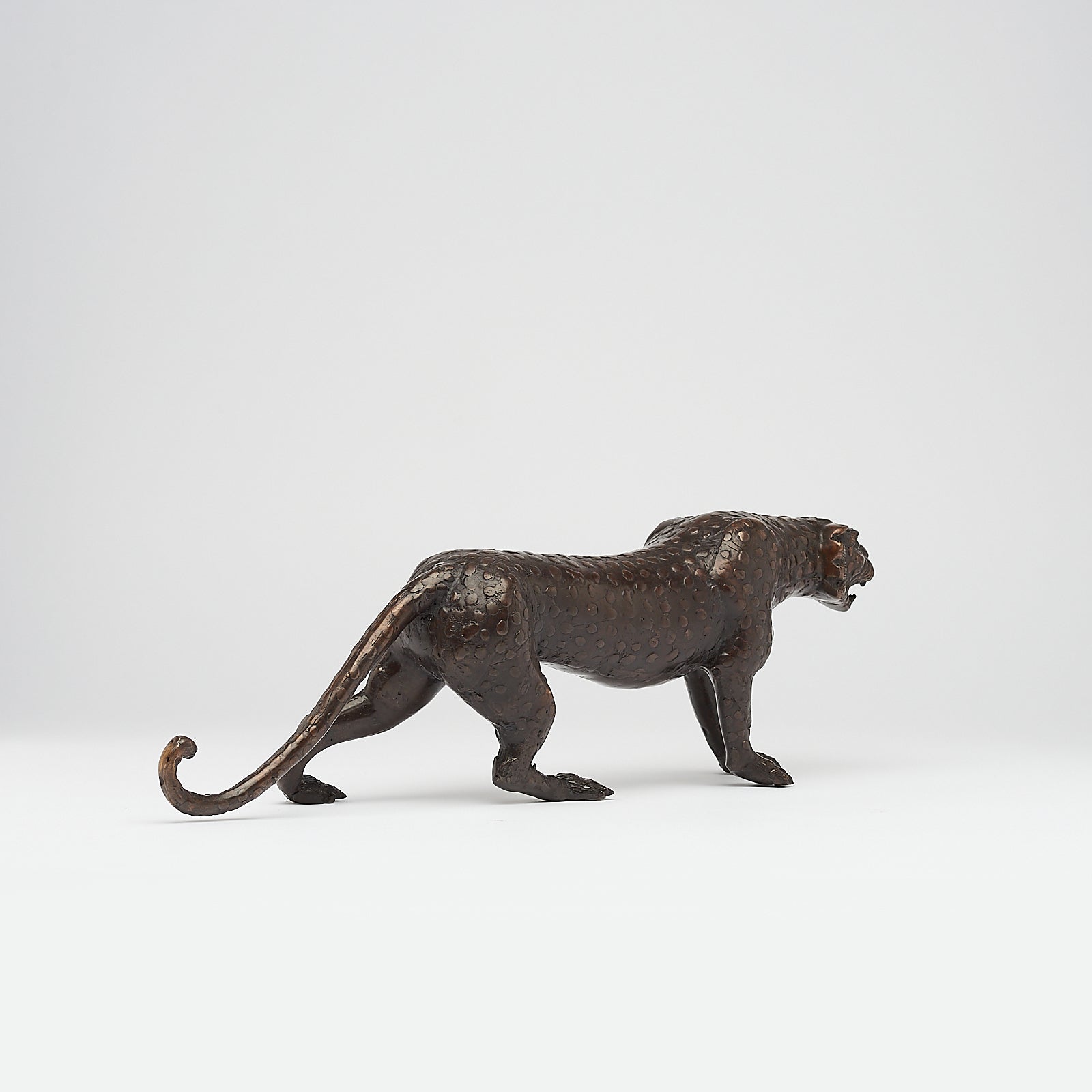 Bronze Javan Leopard