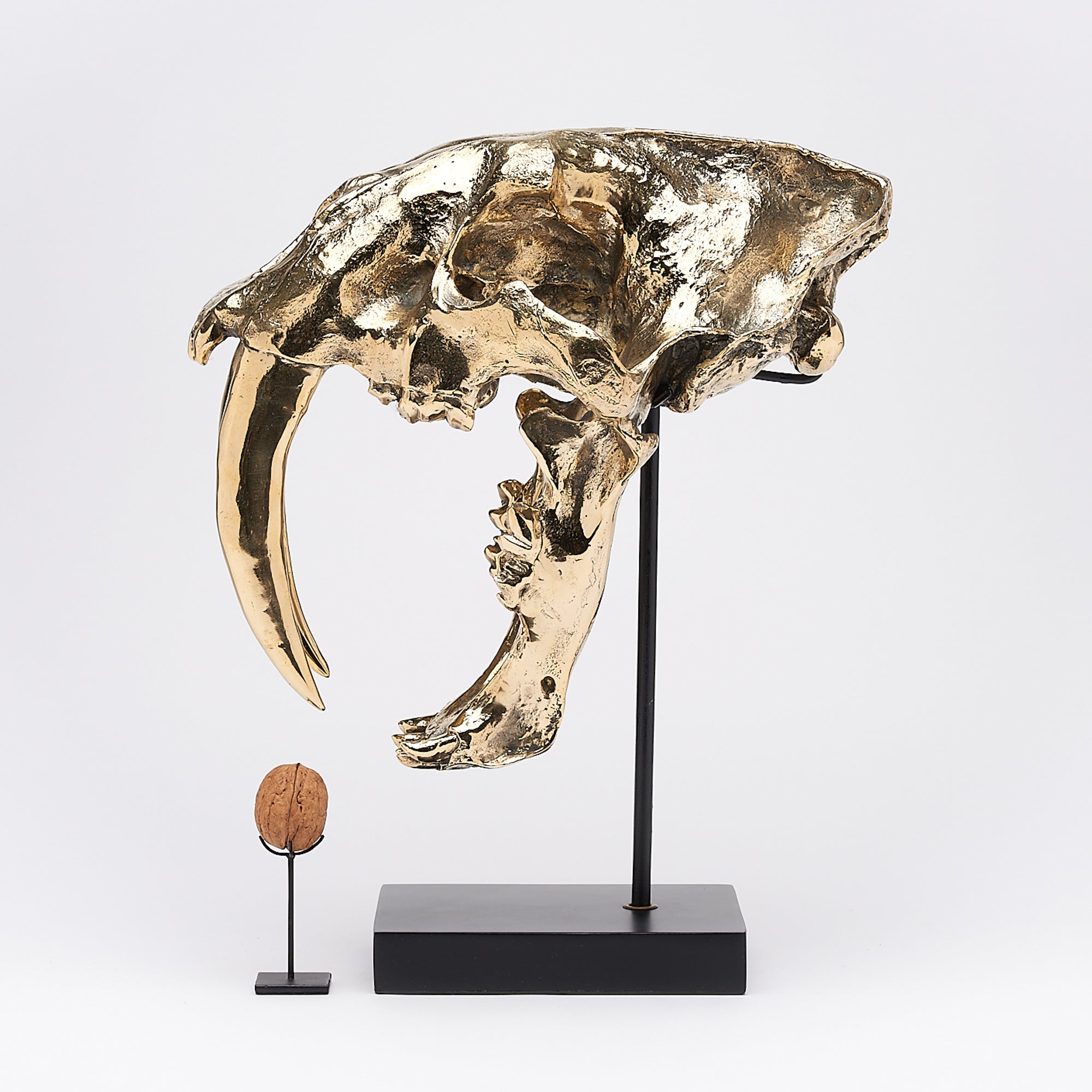 Polished Bronze Rustic Sabertooth Tiger