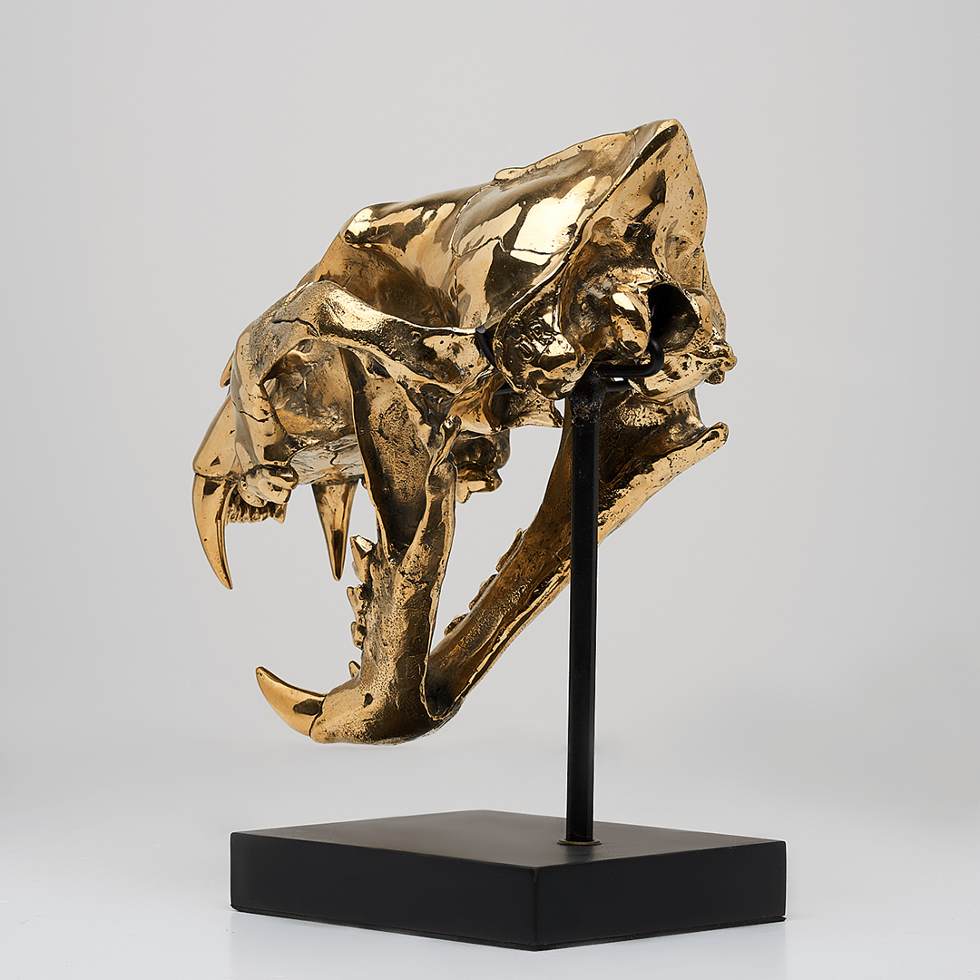 Sumatran Tiger Skull in Polished Bronze