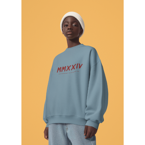 Boys Blue Sweatshirt