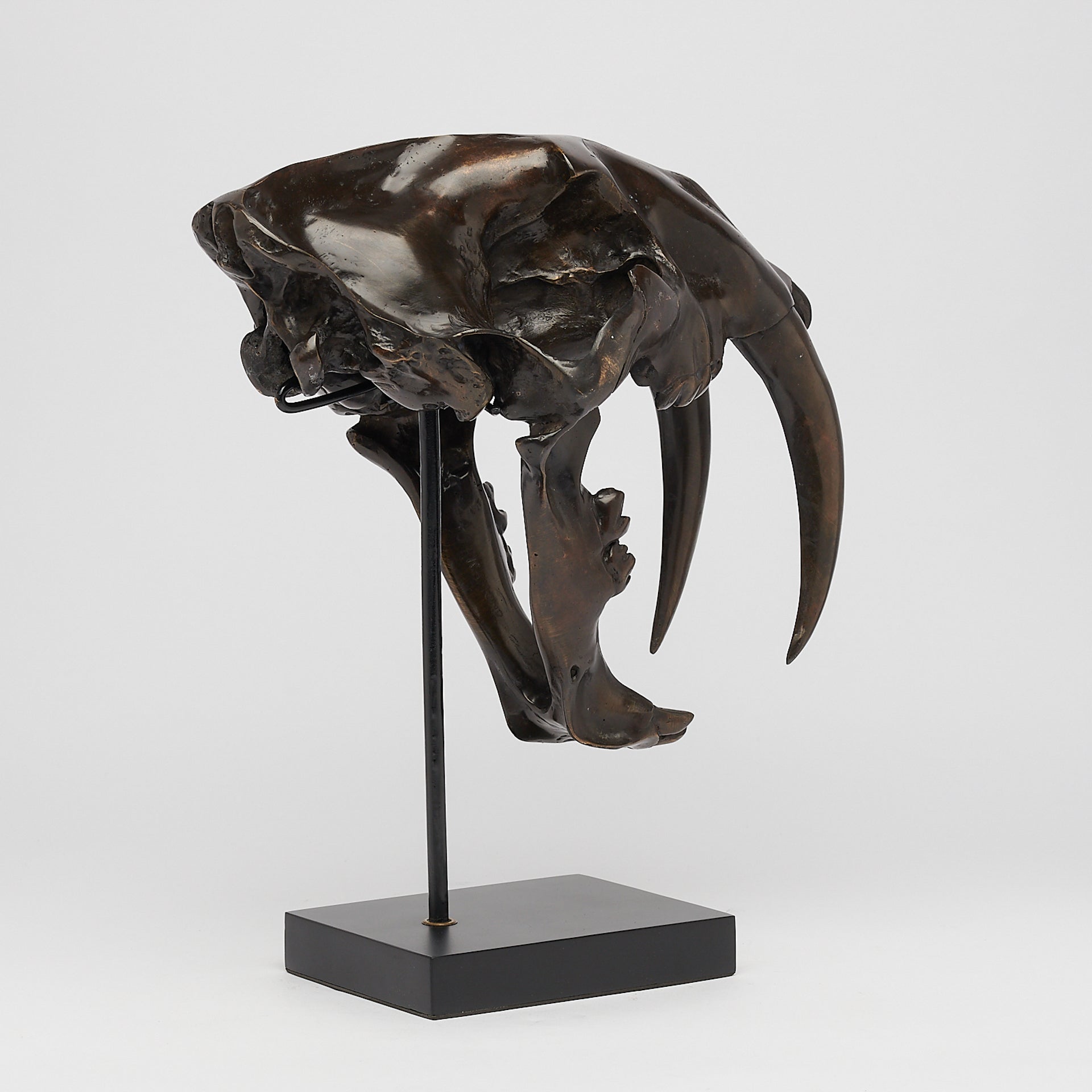 Bronze Rustic Sabertooth Tiger