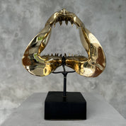Polished Bronze Mako Shark Jaw