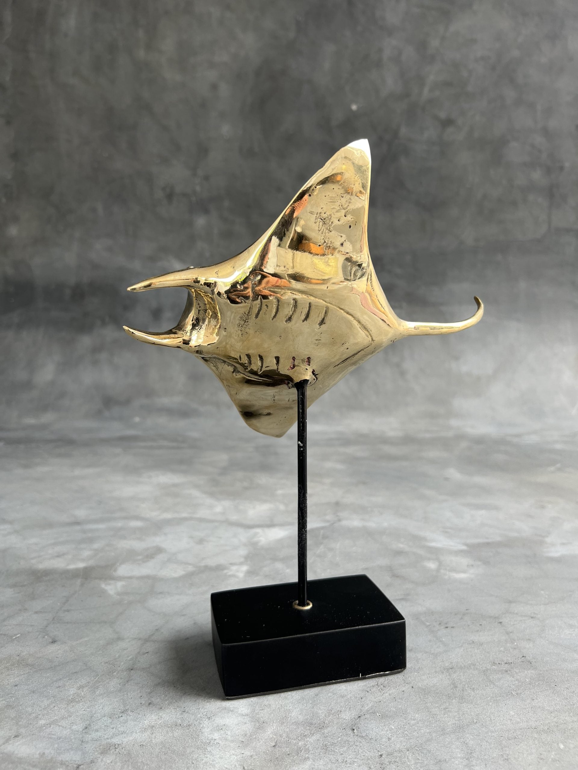 Floating Manta Ray in Polished Bronze