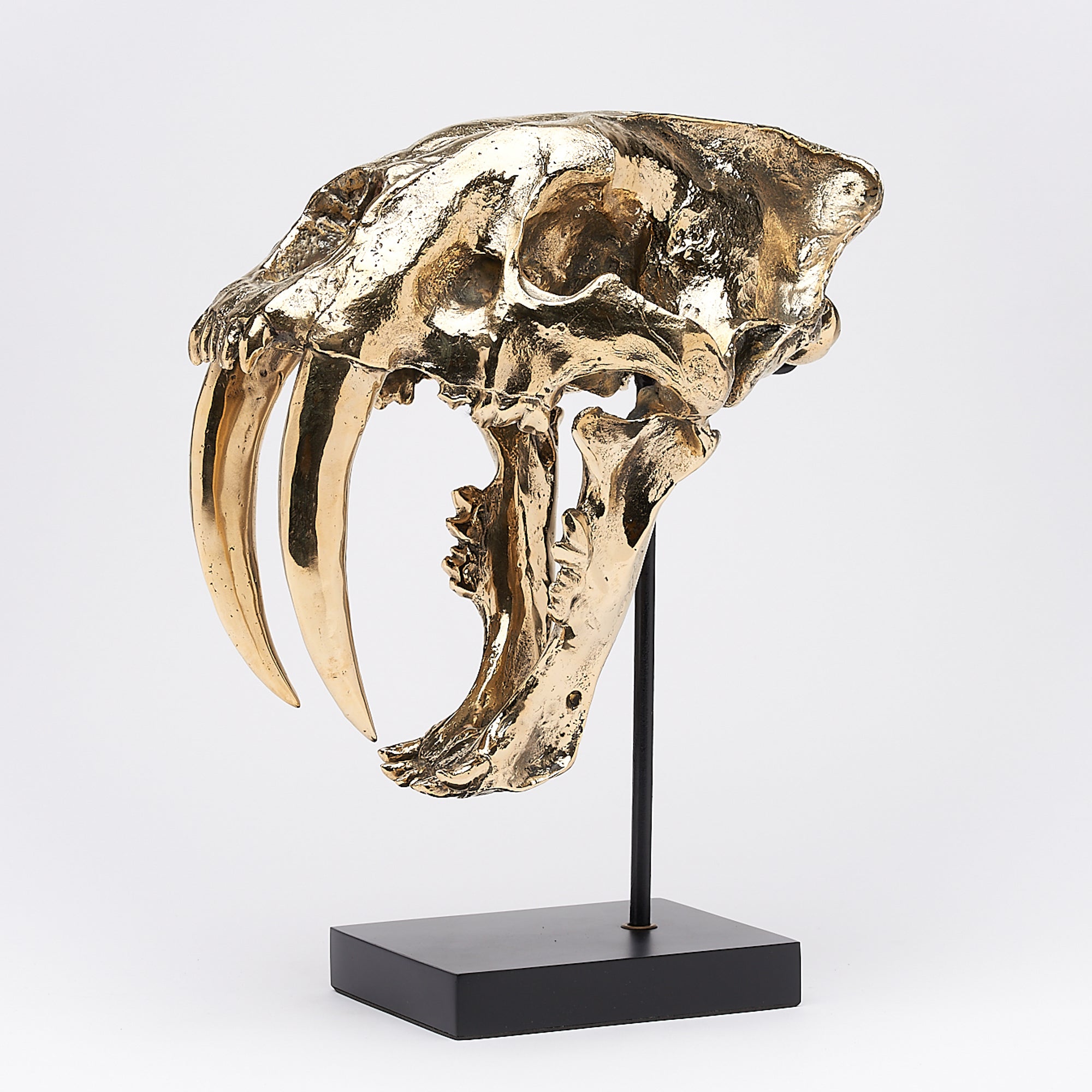 Polished Bronze Rustic Sabertooth Tiger