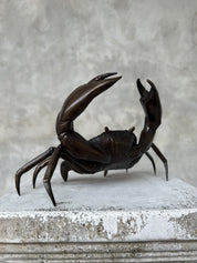 Small Bronze Crab