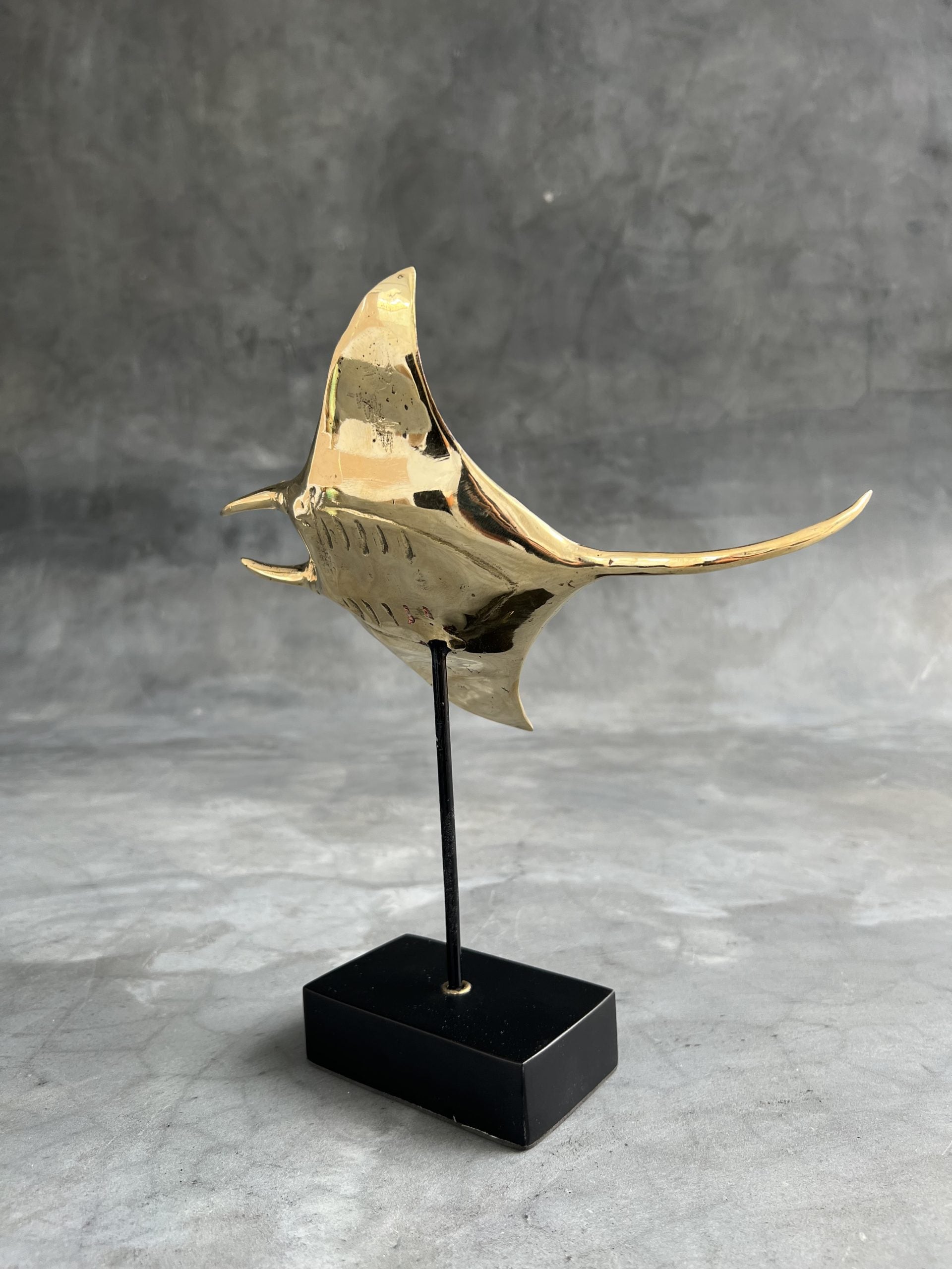 Floating Manta Ray in Polished Bronze