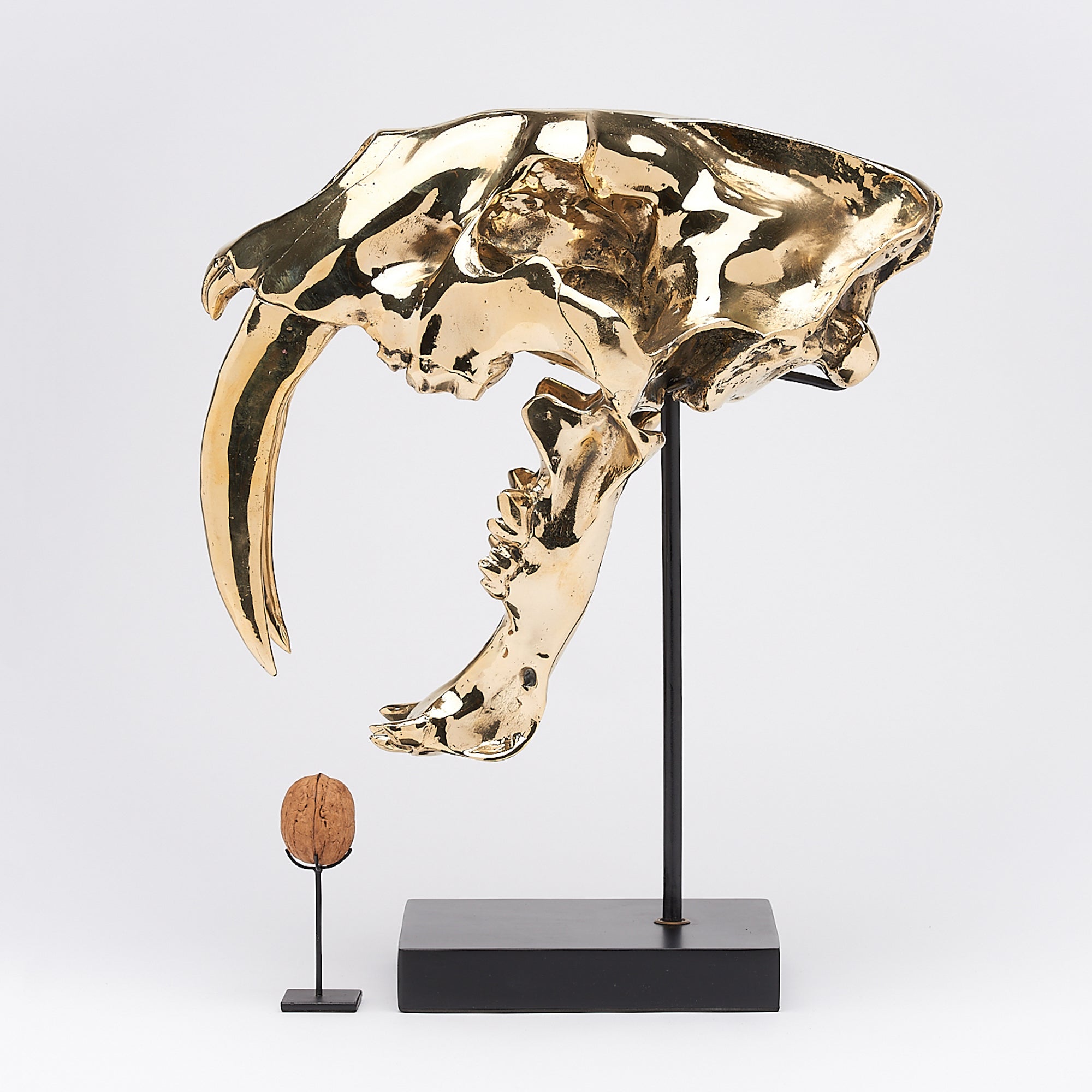 Polished Bronze Sabertooth Tiger