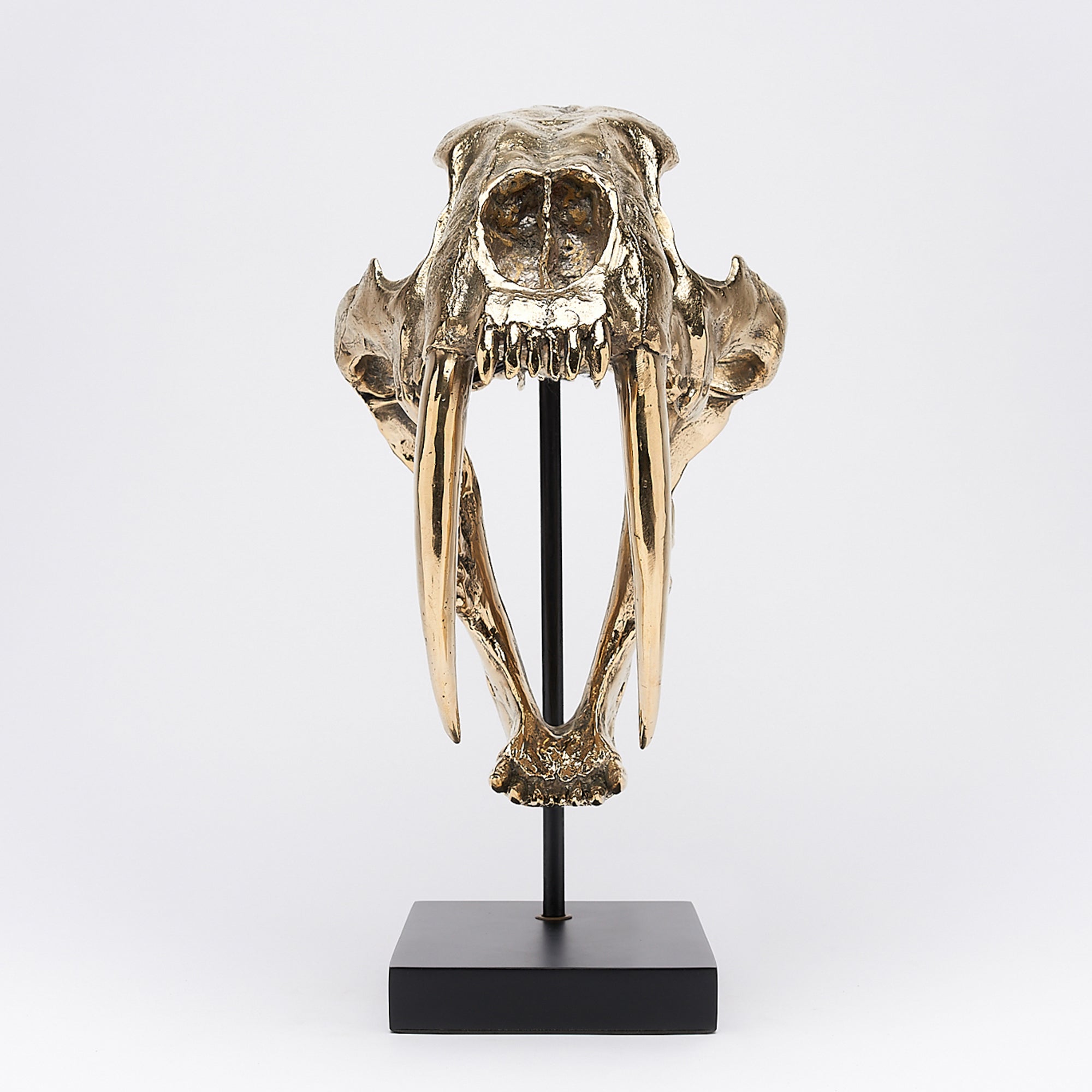 Polished Bronze Rustic Sabertooth Tiger