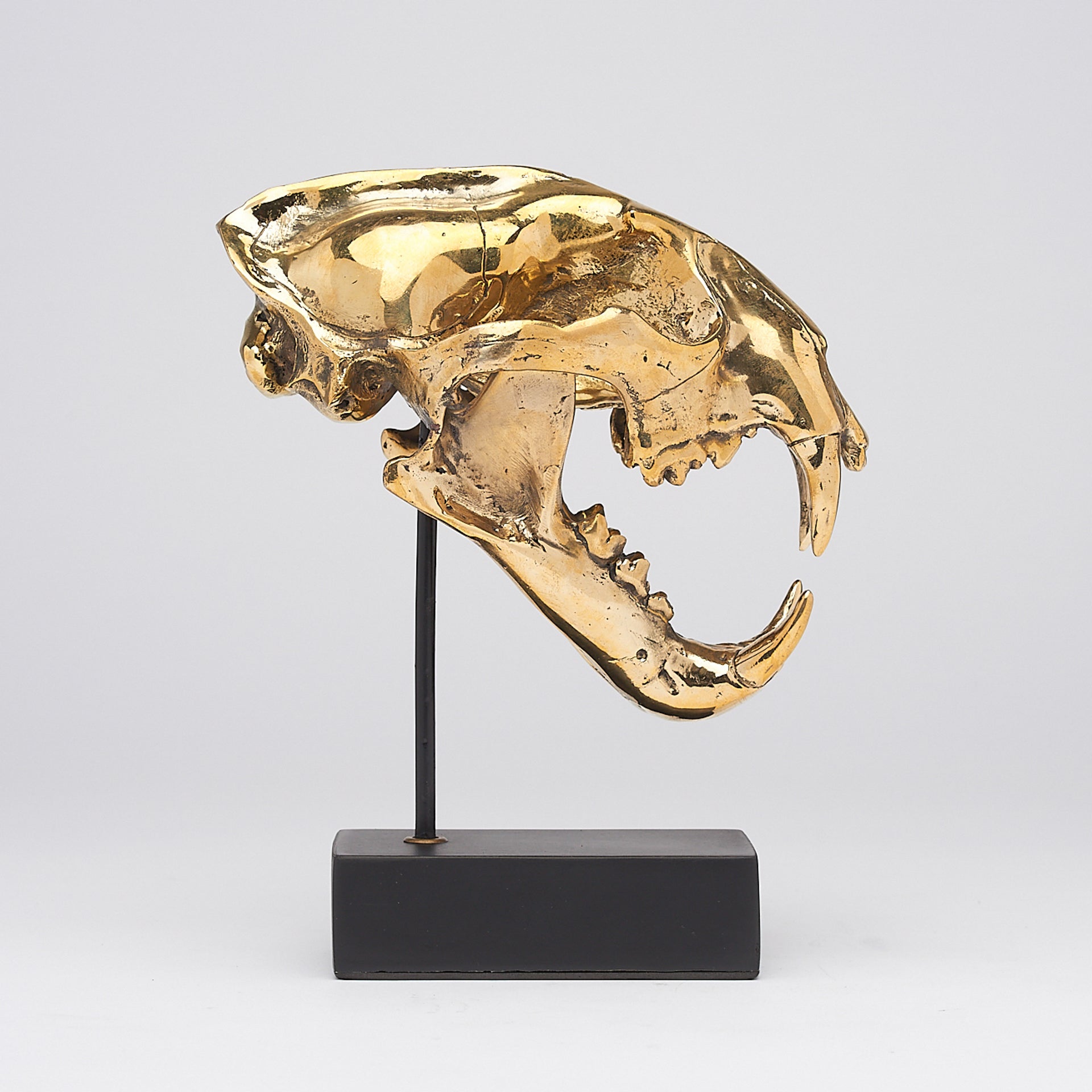 Polished Bronze Snow Leopard