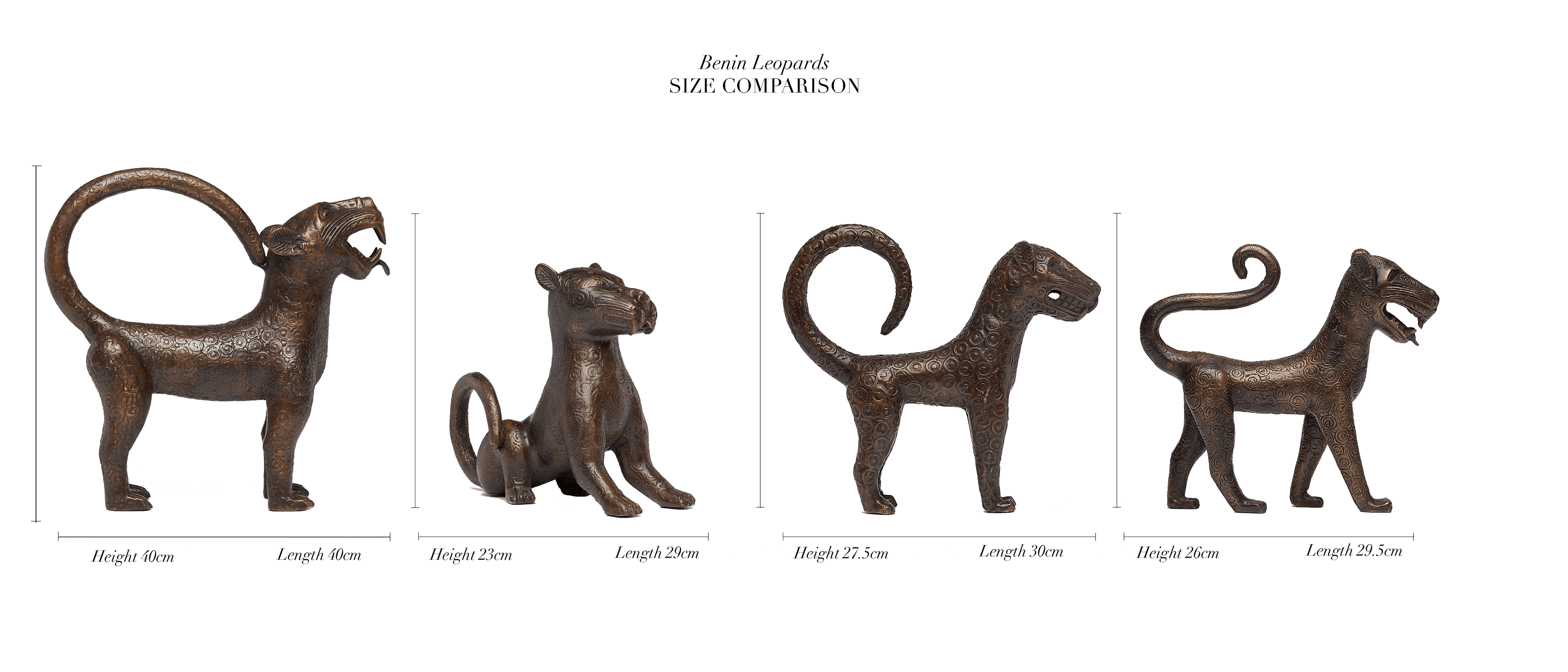 Flamboyant Benin Leopard