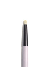 Corrector Brush