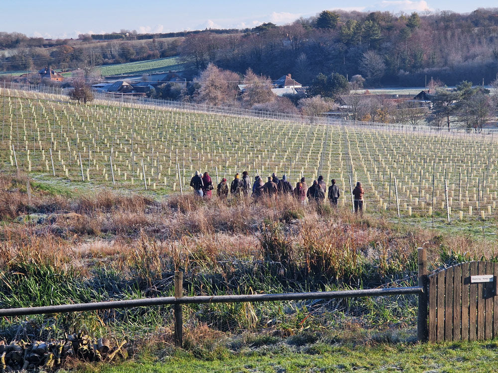 Workshop / Farm Tour