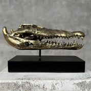 Saltwater Crocodile Skull, Small With Base