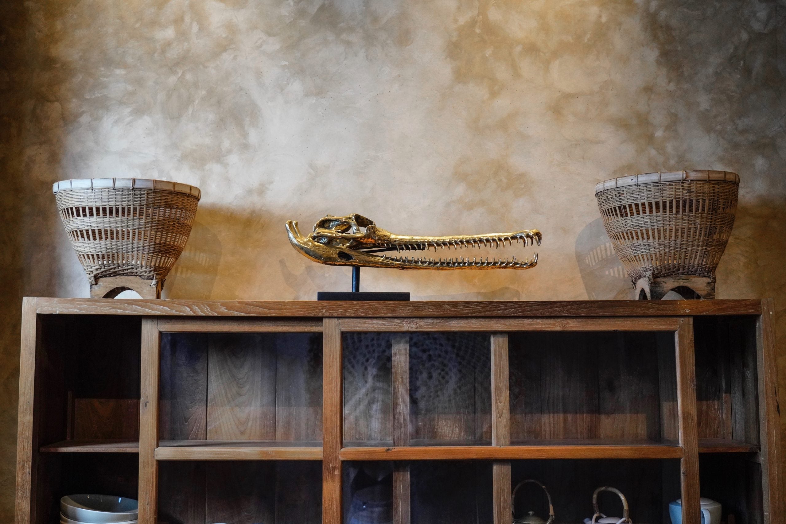 Large Polished Bronze Gharial Skull