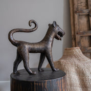 Flamboyant Benin Leopard