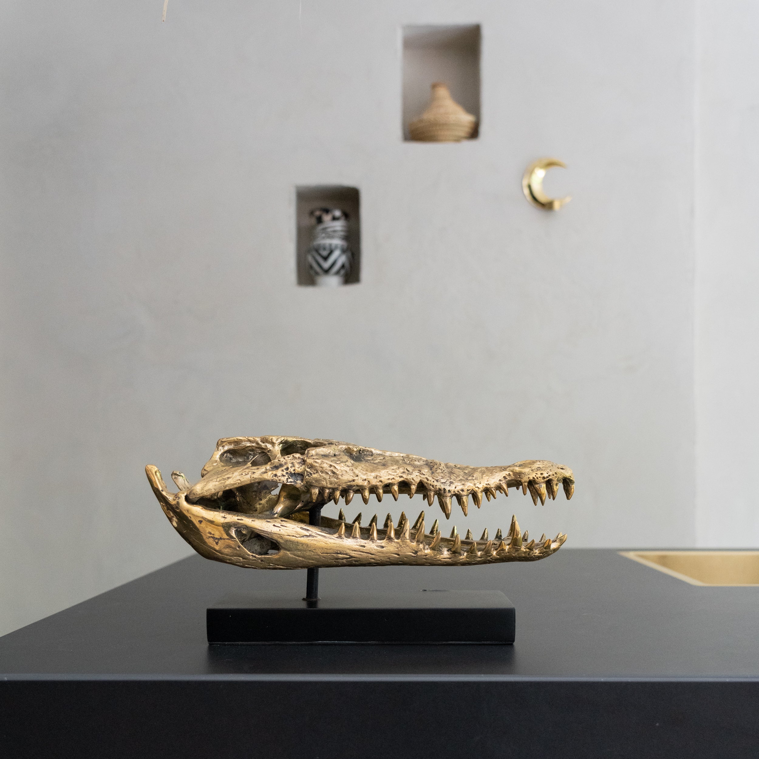 Medium Saltwater Crocodile Skull in Polished Bronze