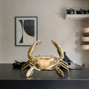 Crab in Polished Bronze, Large