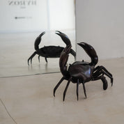 Crab in Bronze, Medium