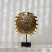 Small Turtle Shell in Polished Bronze