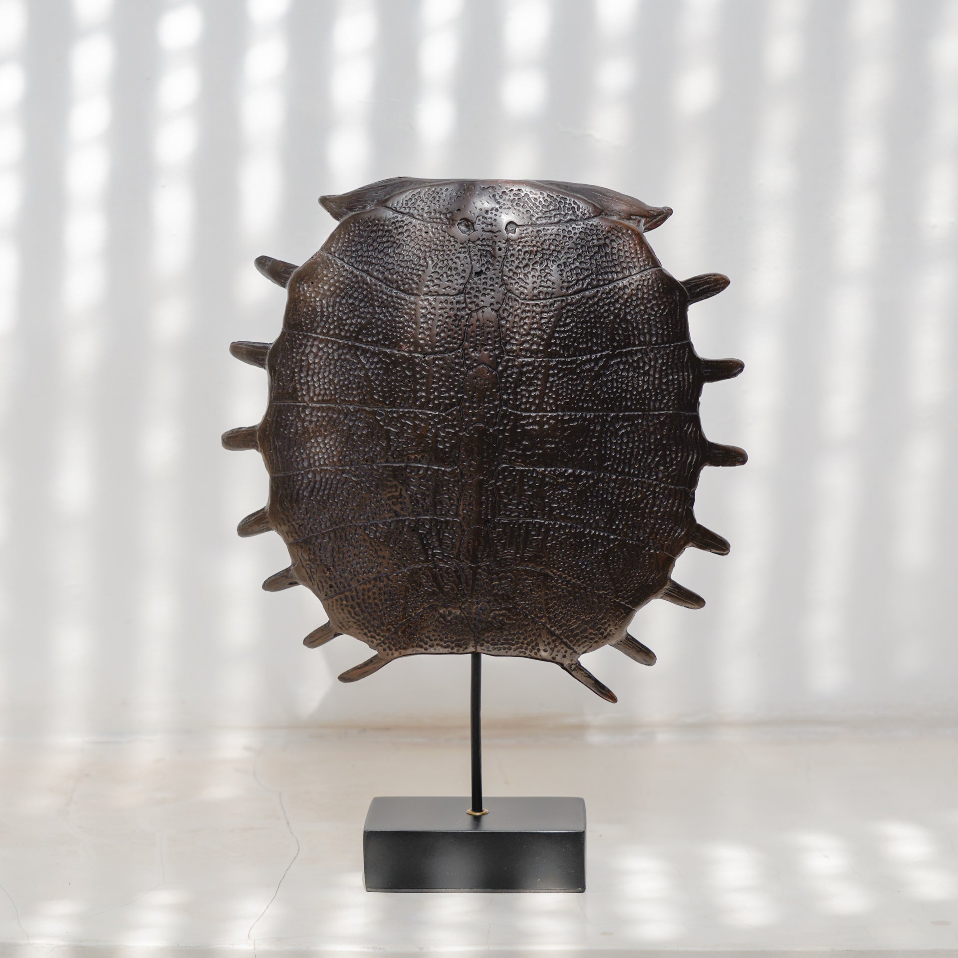 Medium Bronze Turtle Shell