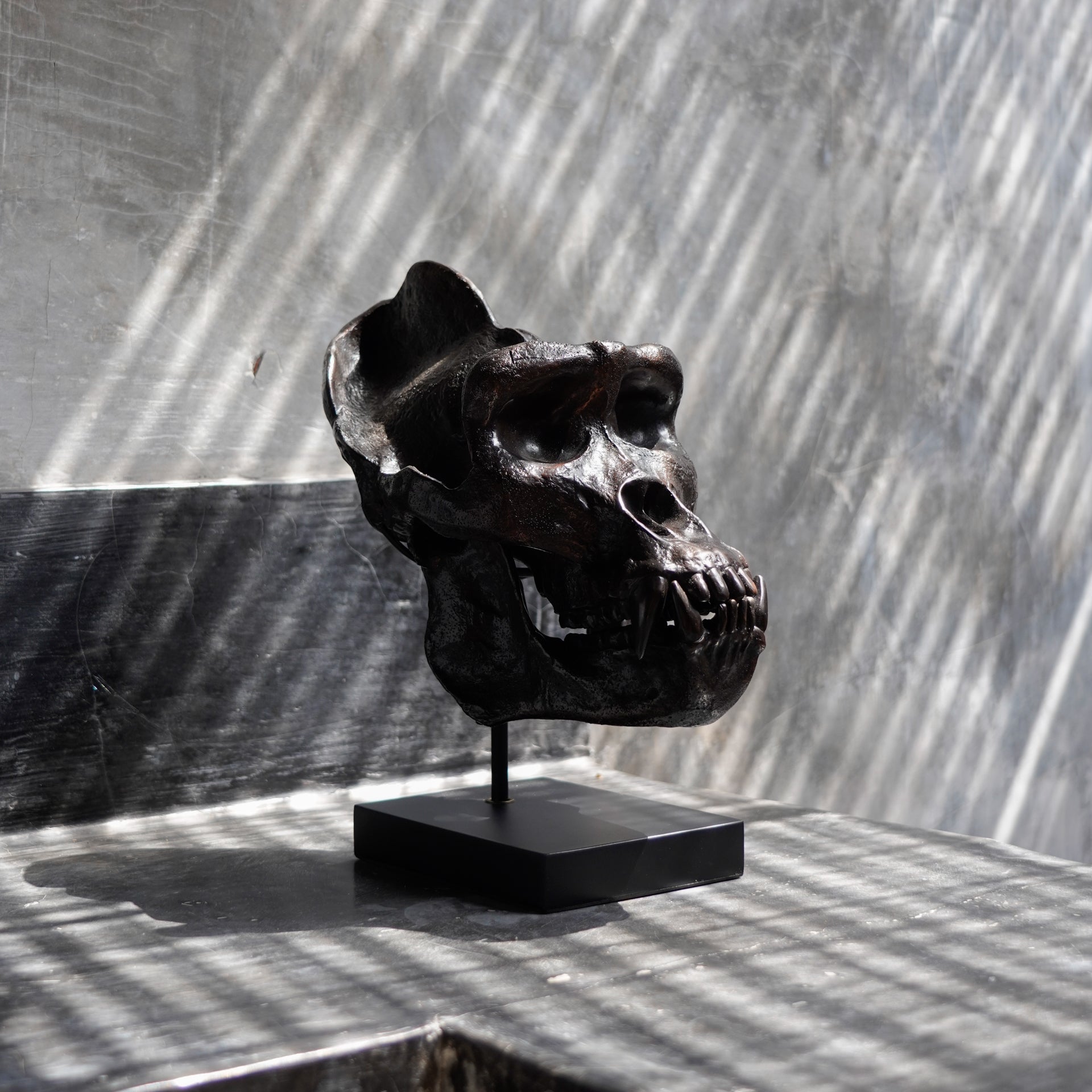 Bronze Western Lowland Gorilla Skull