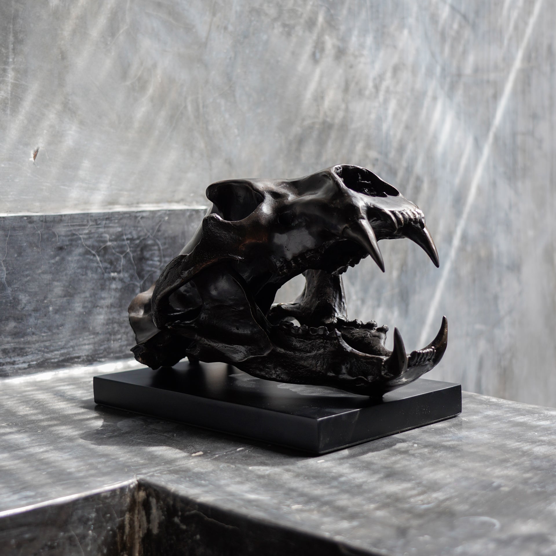 Bronze Polar Bear Skull