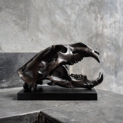 Bronze Polar Bear Skull