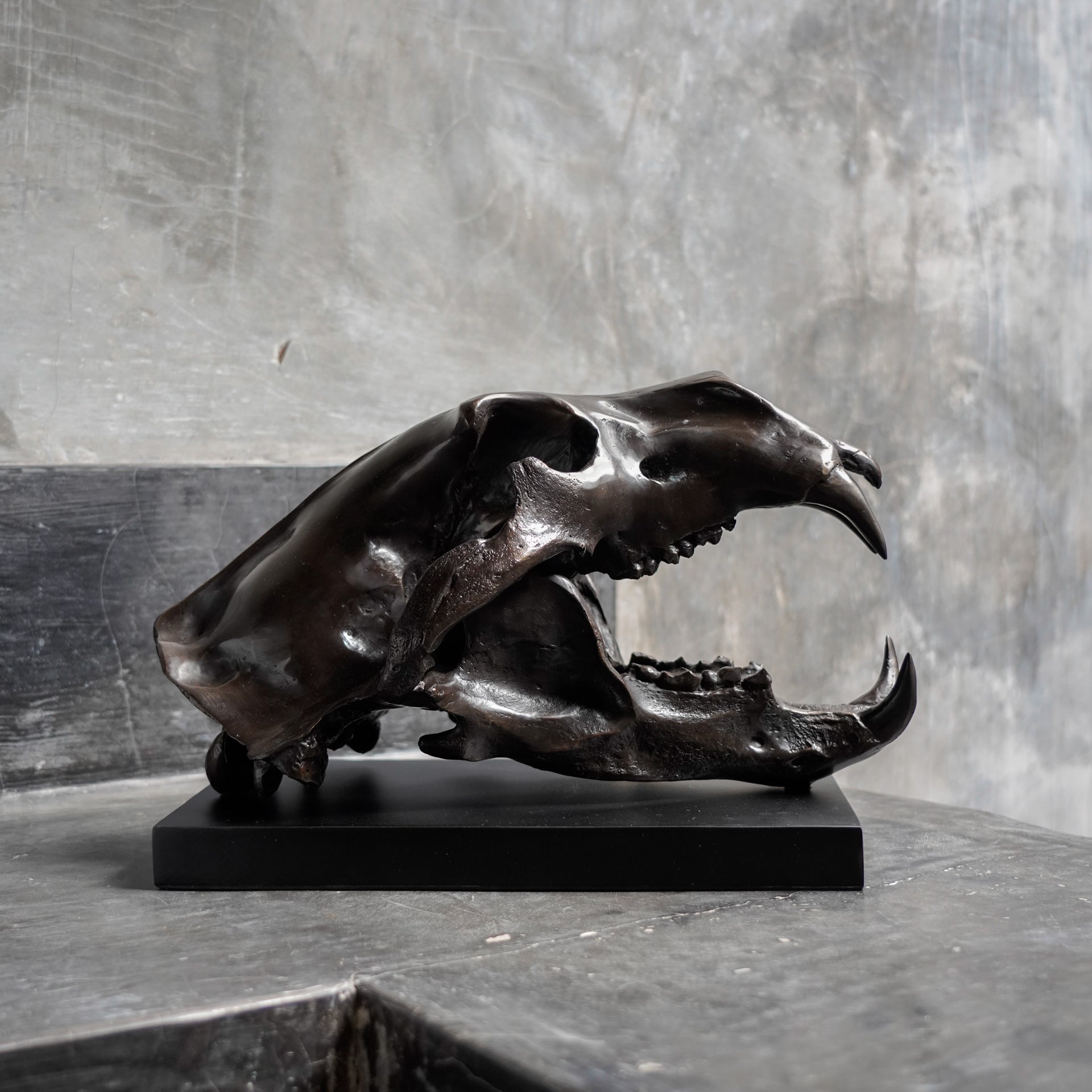 Bronze Polar Bear Skull