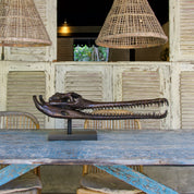 Extra Large Bronze Gharial Skull