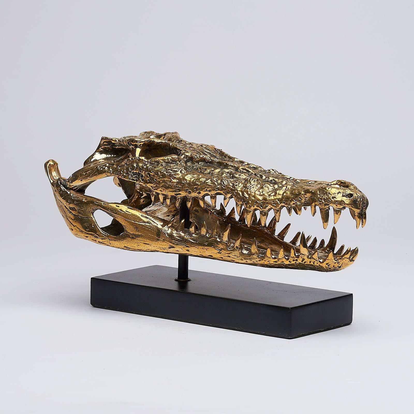 Medium Saltwater Crocodile Skull in Polished Bronze