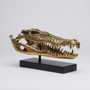 Medium Saltwater Crocodile Skull in Polished Bronze