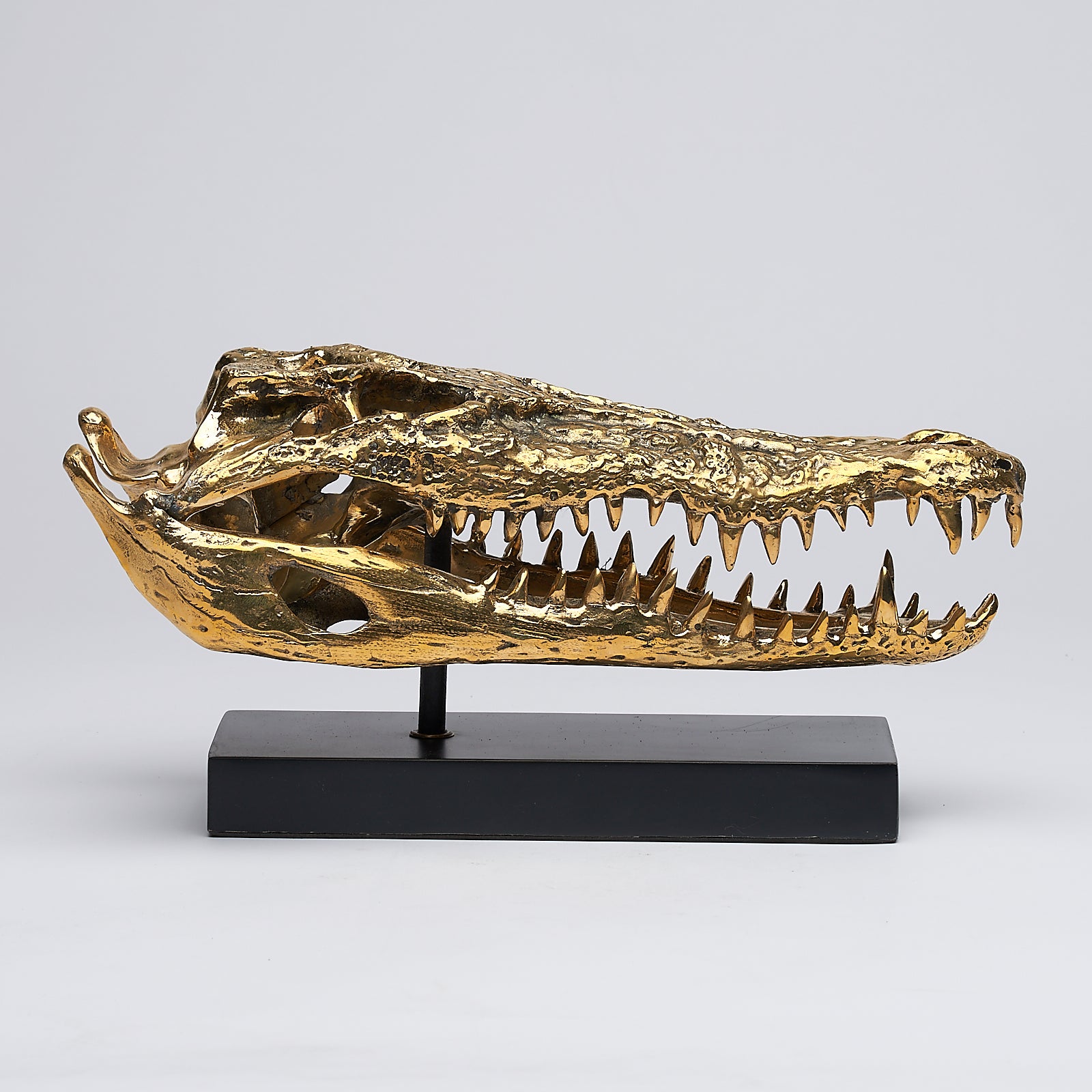 Medium Saltwater Crocodile Skull in Polished Bronze