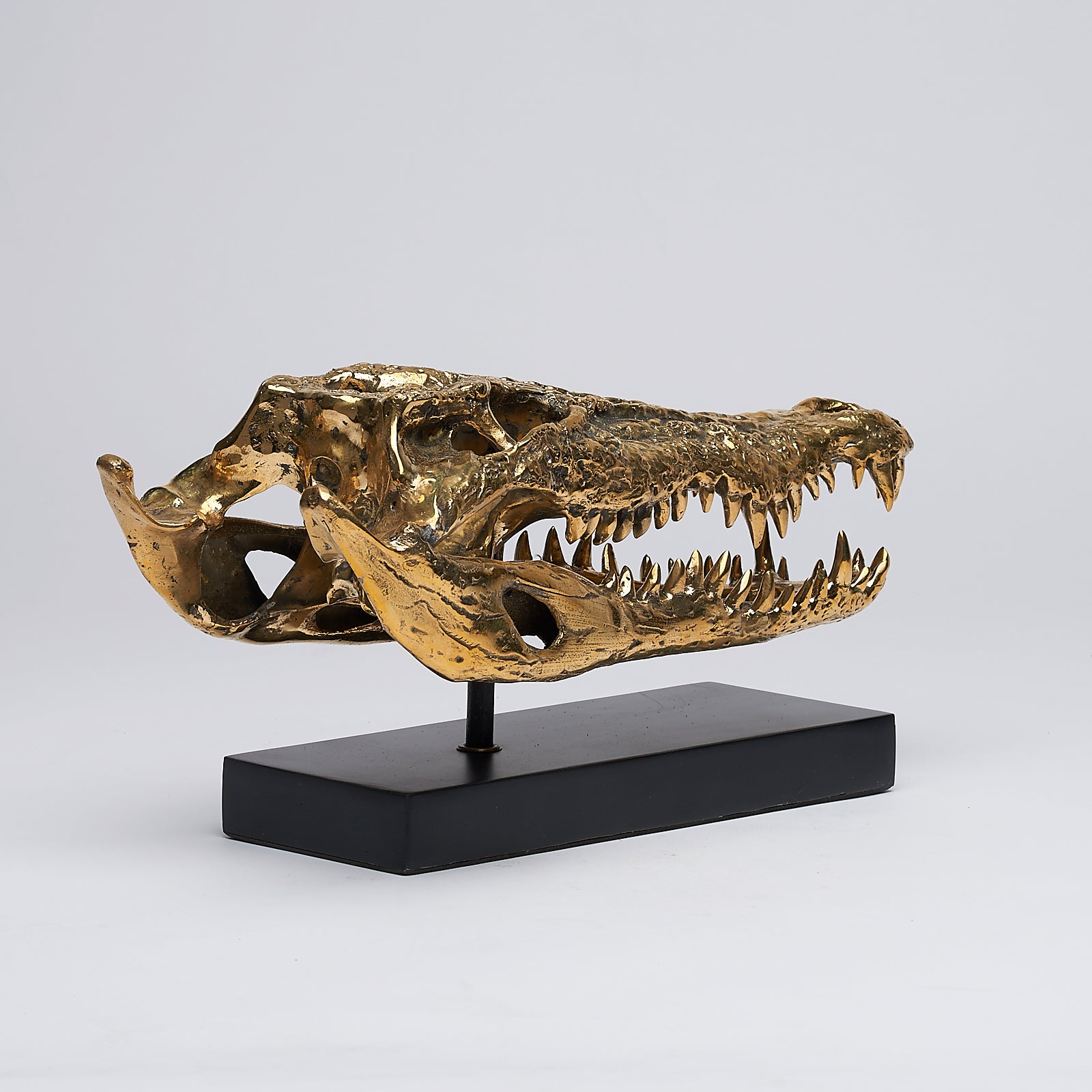 Medium Saltwater Crocodile Skull in Polished Bronze
