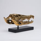 Medium Saltwater Crocodile Skull in Polished Bronze
