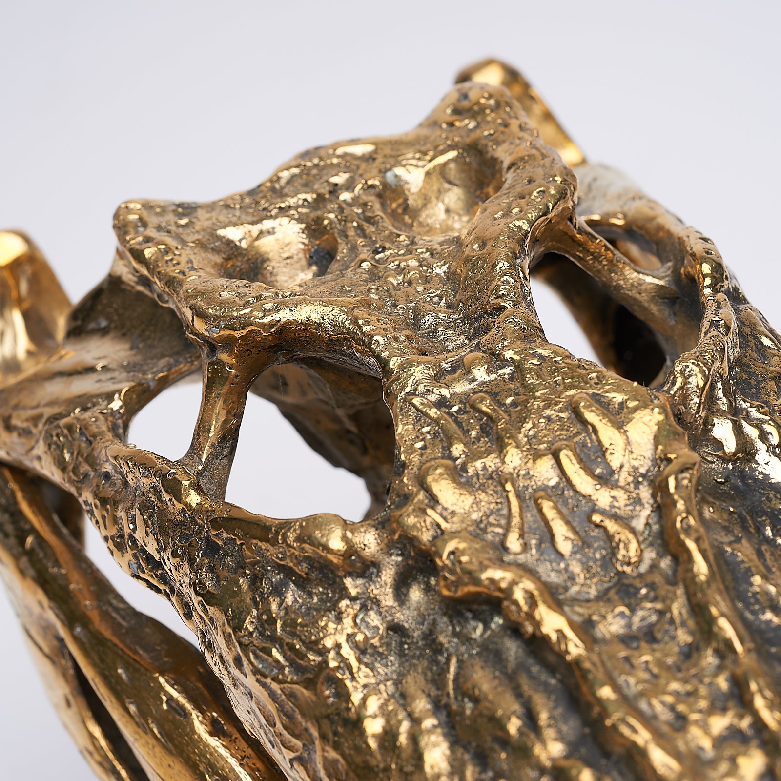 Medium Saltwater Crocodile Skull in Polished Bronze
