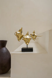 Young Manta Ray Family Drifting