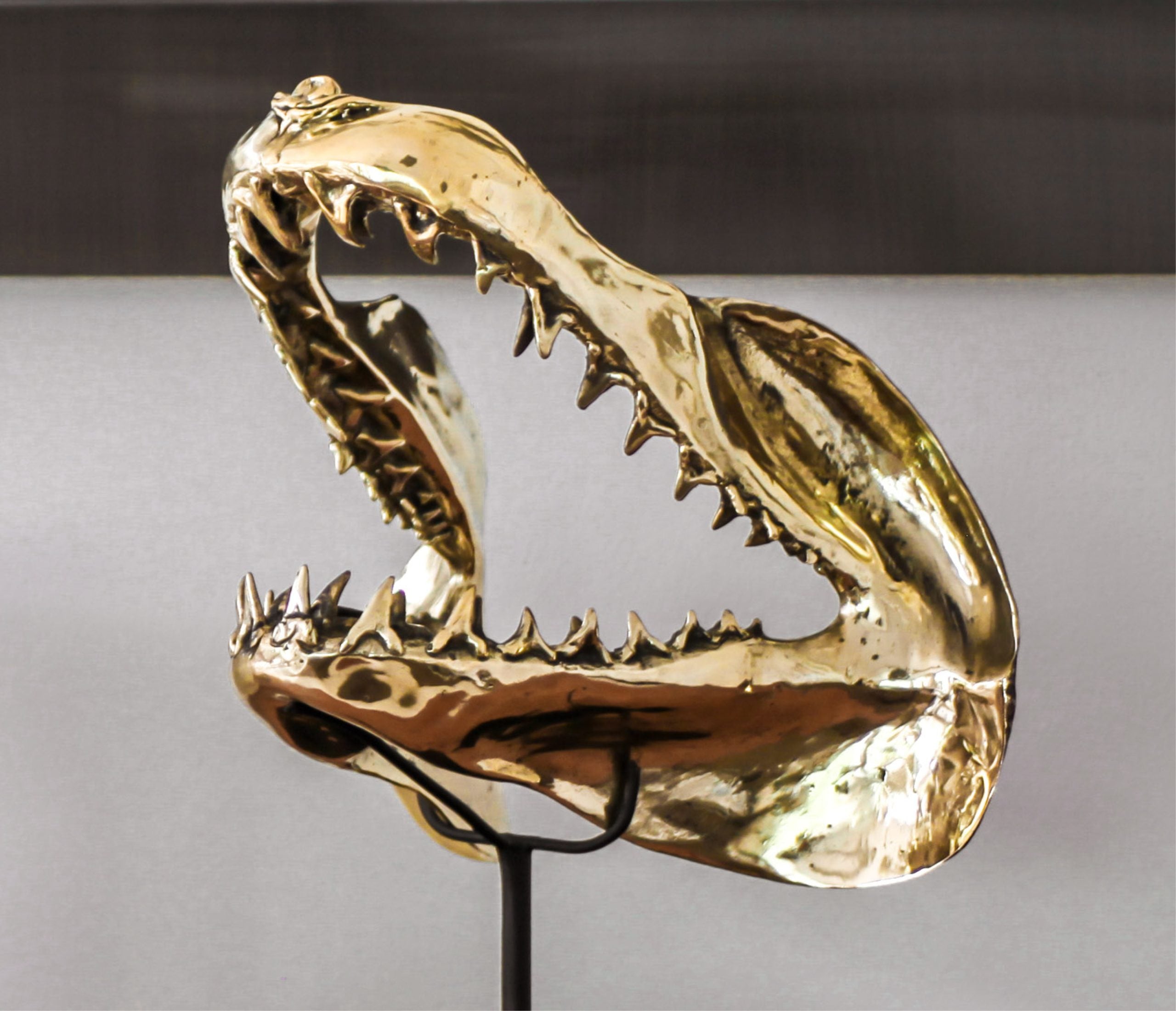 Polished Bronze Mako Shark Jaw