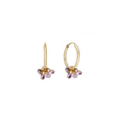 Rising Star Pink Sapphire Cluster Hoops