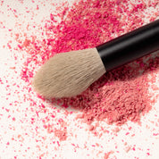 Multi Use Powder Brush