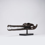 Extra Large Bronze Gharial Skull