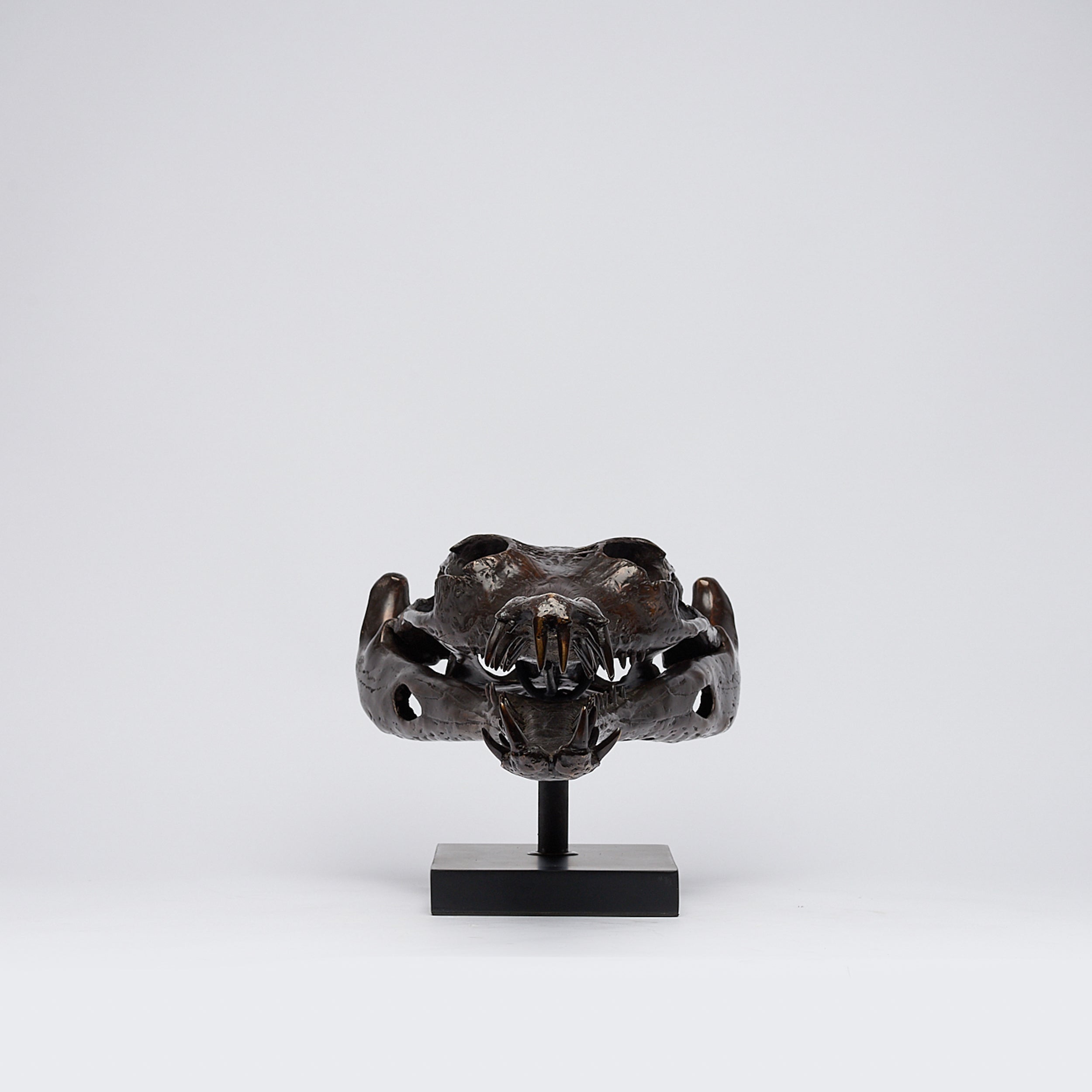 Extra Large Bronze Gharial Skull