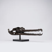 Extra Large Bronze Gharial Skull