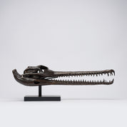 Extra Large Bronze Gharial Skull