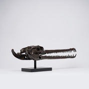 Extra Large Bronze Gharial Skull