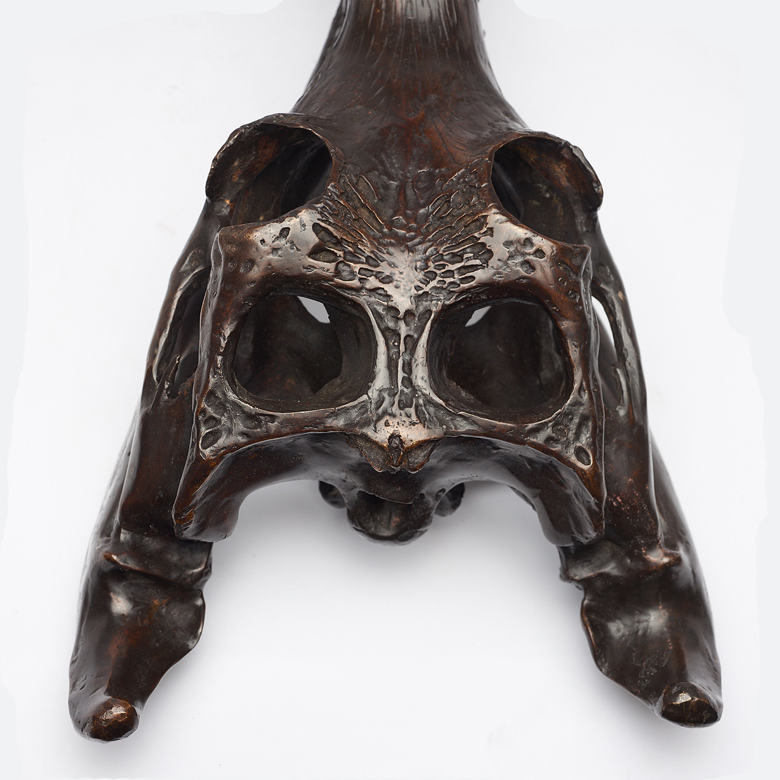 Extra Large Bronze Gharial Skull