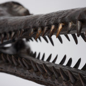 Extra Large Bronze Gharial Skull