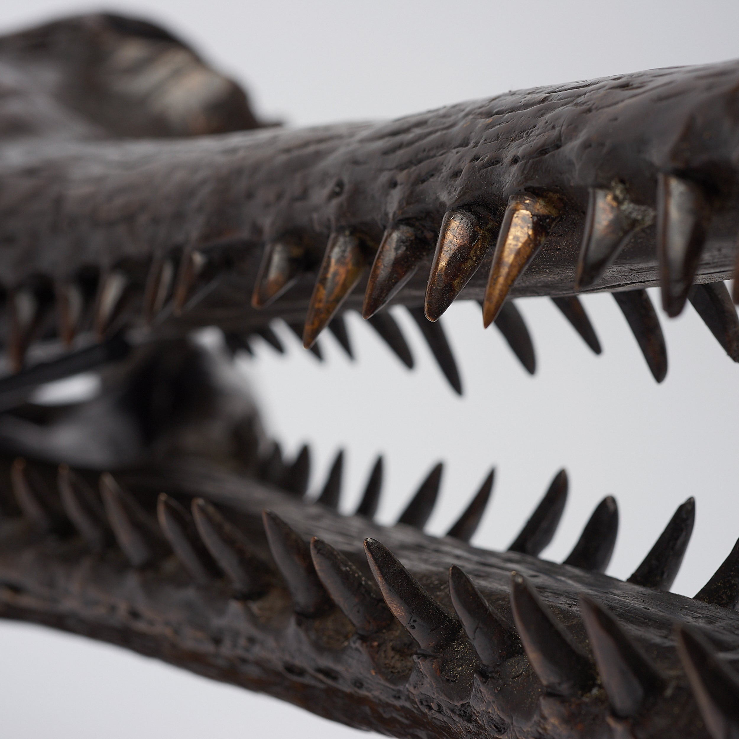 Extra Large Bronze Gharial Skull