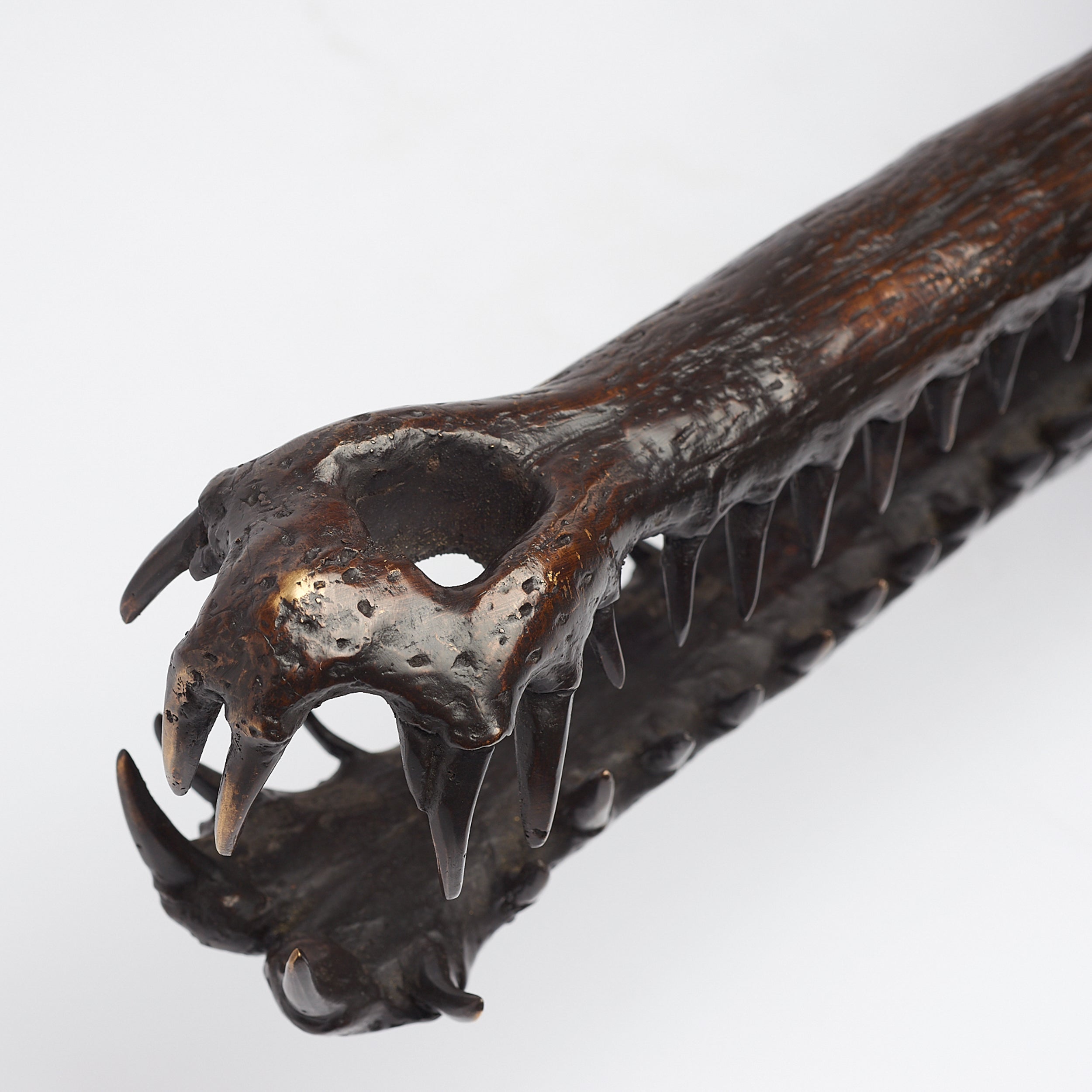 Extra Large Bronze Gharial Skull