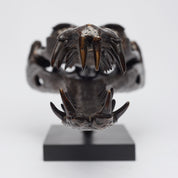 Extra Large Bronze Gharial Skull